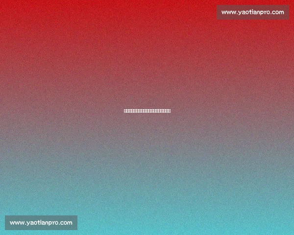 瑞典中锋盛赞申京：全能身手难挡攻防锋芒